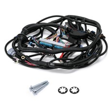 Complete Ls Standalone Wiring Harness W4l60e For 97-06 Vortec 4.8 5.3 6.0l Dbc