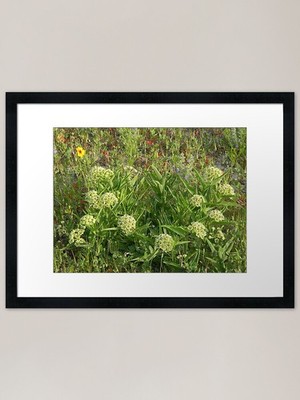 Antilope Horn Herz gerahmter Kunstdruck gerahmt Wandbild Poster Leinwanddruck Bild