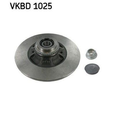 2x SKF Scheibenbremse hinten 7701204901 7703090313 7701208054 | 881126