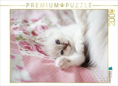 CALVENDO Puzzle Heilige Birma Kitten, chocolate tabby point 2000 Teile Puzzle qu