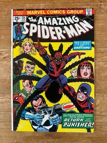Amazing Spider-Man #135 Volume 1 Marvel Comics 1974 Key Punisher - Nice!