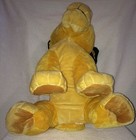 Picture 6 of 9