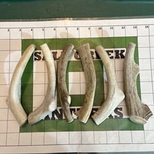 Dog Chews 6 Pack Medium Sized Deer Antler Treats Premium Quality