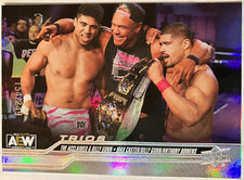 2024 Upper Deck AEW Steel Cage #79 The Acclaimed/Billy Gunn #/249
