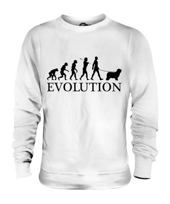 BEARDED COLLIE EVOLUTION DES MENSCHEN UND HUND UNISEX PULLI HERREN DAMEN