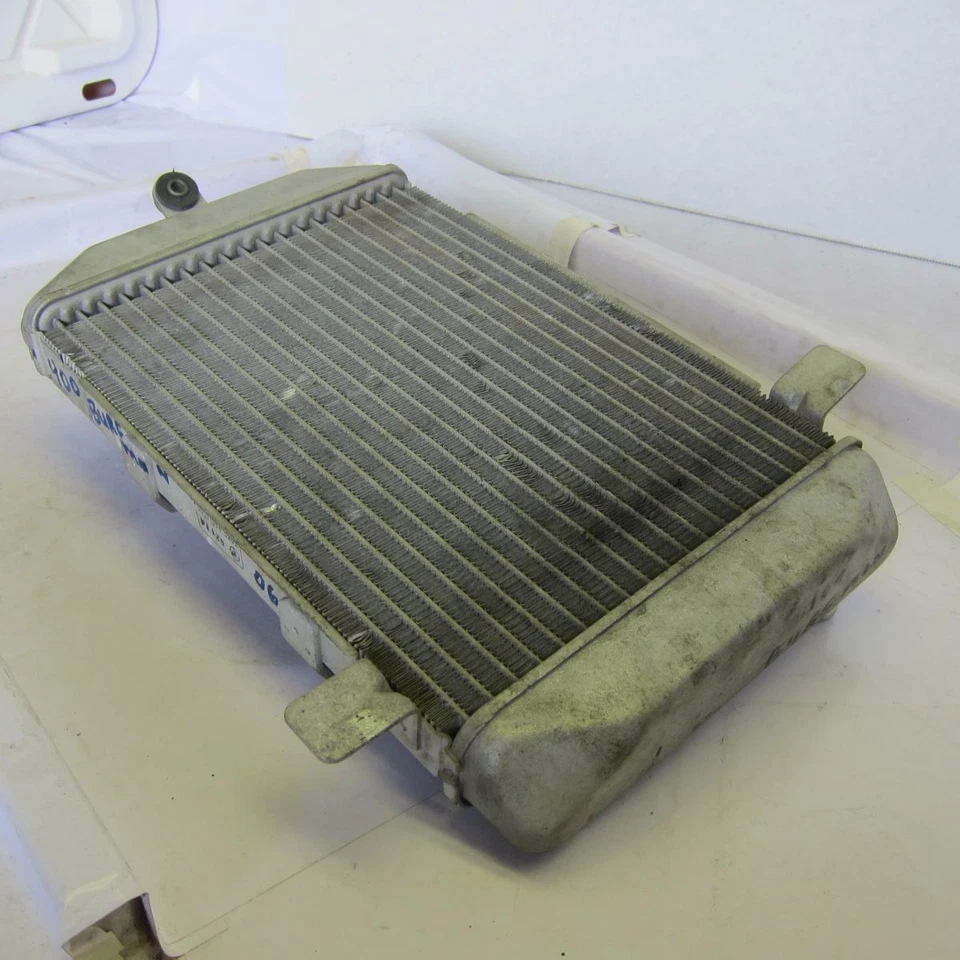 Suzuki Burgman 400 AN400 2005 OEM motor radiador motor enfriador radiador de refrigeración Foto 2 de 4