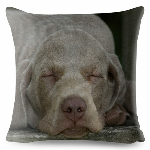 Germany Weimaraner Dog Cushion Cover for Car Sofa Home Pillow Case Decor Animal - Picture 21 of 31