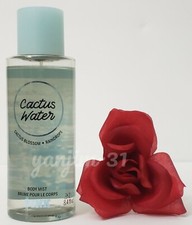 VICTORIA SECRET PINK - CACTUS WATER - BODY MIST/SPLASH/SPRAY - FULL SIZE - NEW