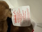 Foto 4 di 10