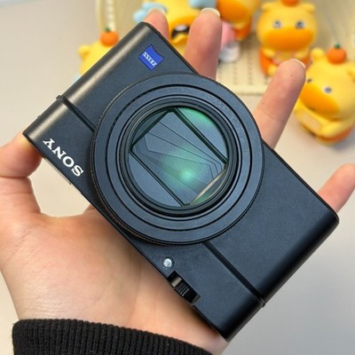 Sony Cyber-Shot DSC-RX100M6 VI Digital Camera 20.1MP 8x Optical