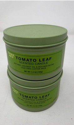 Trader Joe's Tomato Leaf Scented Candle Soy Wax Coconut Oil 5.3 oz 
