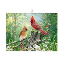 Red Bird Dish Drying Mat 18"x24" Microfiber Absorbent Reversible Kitchen