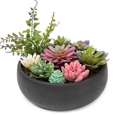 8 Inch Round Modern Artificial Succulent Plant Arrangement, Assorted Fake Pla...