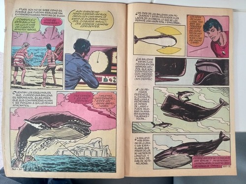 MEXICAN CHANOCYEAR 1978 COMIC - Picture 11 of 13