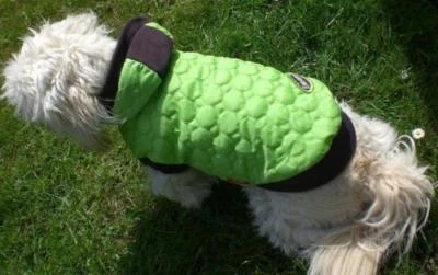 PEC. Hunde Schneemantel L Rl: 35-42cm Umfang bis 55cm Apfelgrün Pudel Westie Mops