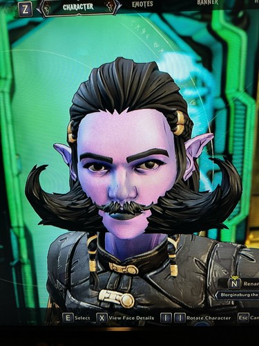 PS/XBOX/PC Tiny Tina's Wonderlands TODOS LOS ACCESORIOS DE CABEZA COSMÉTICOS ENGRANAJES SKINS DLC - Imagen 33 de 55