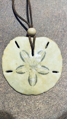 Real Sand Dollar 24  Suede Necklace