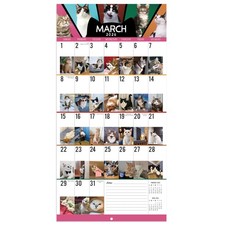 2026 Calendar - Funny Cat 2026, 12" x 24" Open , Jan.2026 x