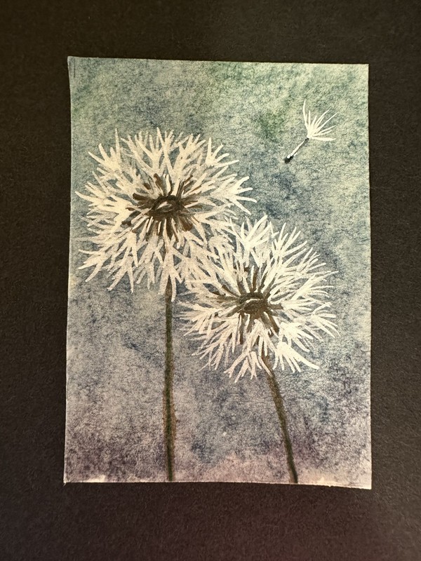 ACEO Artist Original ATC Mini Art Card Watercolor Dandelions 2.5x3.5” WendyMi34