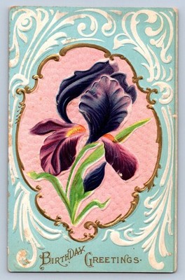 Vintage Embossed Iris Flower Birthday Postcard Early 1900s Floral