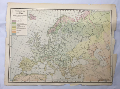 Vegetation Map Population Map Europe Vintage Color Ephemera Hammond