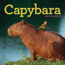 Capybara Wall Calendar 2026 by Workman Calendars