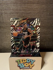 Basketball Zebra | eBay