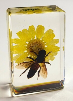 44mm Real Honeybee on Golden Flower in Clear Lucite Resin Scenery Diorama Decor