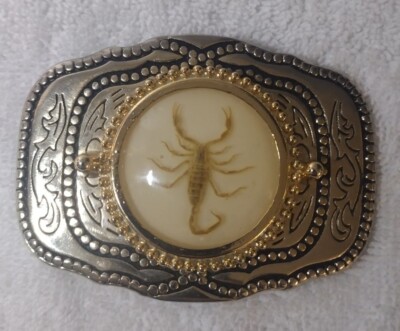 REAL SCORPION BELT BUCKLE INCASED IN RESIN ONE OF A KIND | eBay
