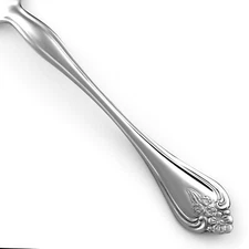 Oneida BOUTONNIERE Stainless Glossy Silverware CHOICE Flatware