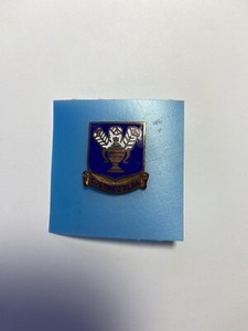 US Military Army Air Force, “Sustino Alas” Pin