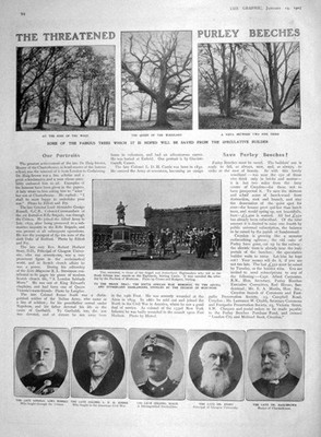Old Antique Print 1907 Purley Beeches Trees Currie Russell Philadelphia 20th