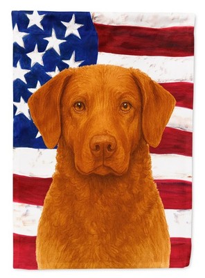 Chesapeake Bay Retriever Sedge American Flag
