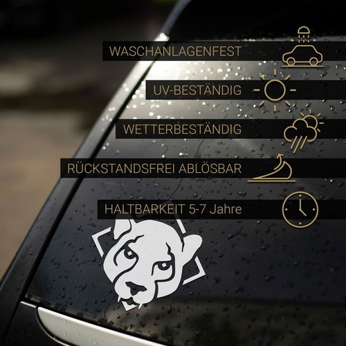 Dash Cam Sticker Please Smile Video Capture Camera Sticker Car Gift Idea - Picture 2 of 6