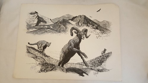 JIM JOHNSTON MOUNTAIN LION SHEEP PRINT SIGNED NUMBERED 10/250 BLACK WHITE '78 - Bild 6 von 12