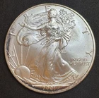 2001 American Silver Eagle 1 Ounce .999 Fine Silver Coin Brilliant Uncirculated
