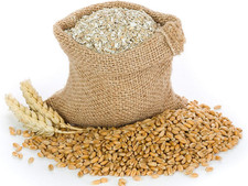 Premium 100 Natural Wheat Bran Bedding, Food for Mealworms and Superworms - 10L