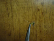 Blue Wing Olive  BWO  Size 20