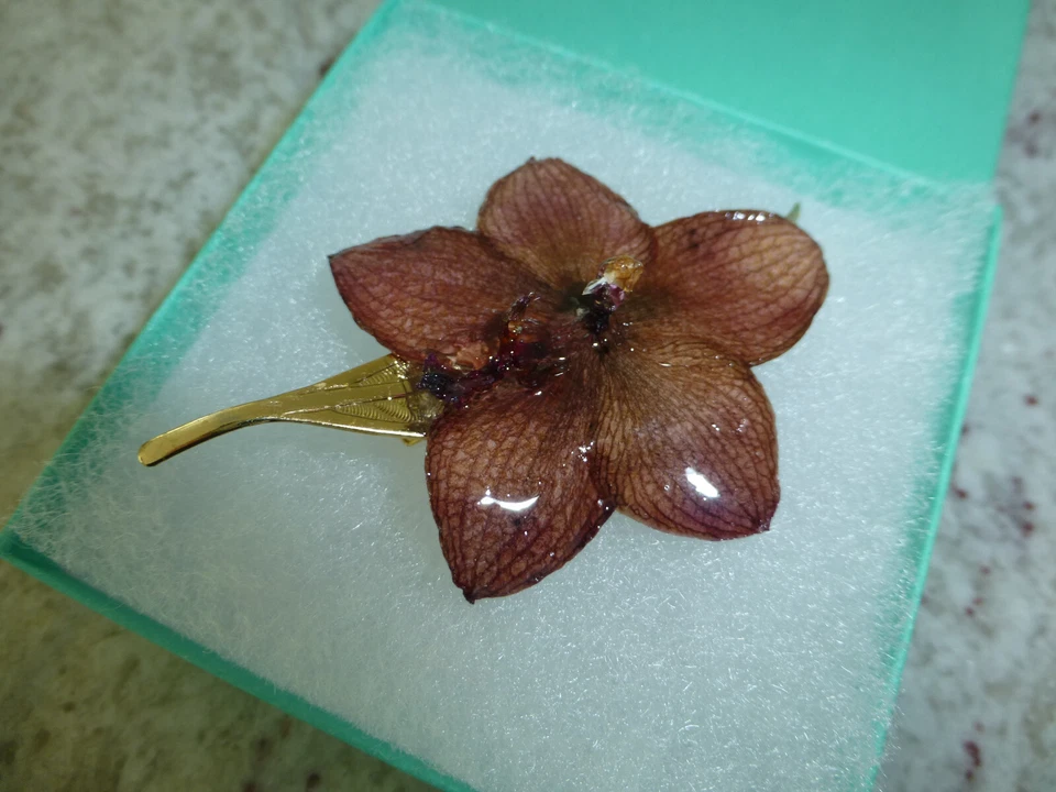Phalaenopsis Real Phal Orchid Preserved Flower 14K Gold Plated Hair Clip - Image 2 of 4