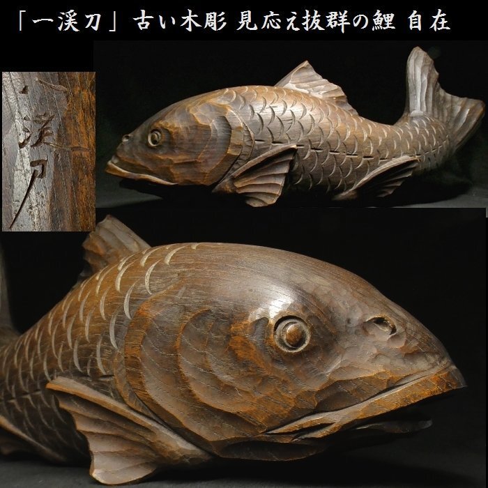 AISO ウグイ　魚の剥製　木製フレーム 約60x40cm AISO ウグイ 魚の剥製 木製フレーム 約60x40cm アンティーク雑貨