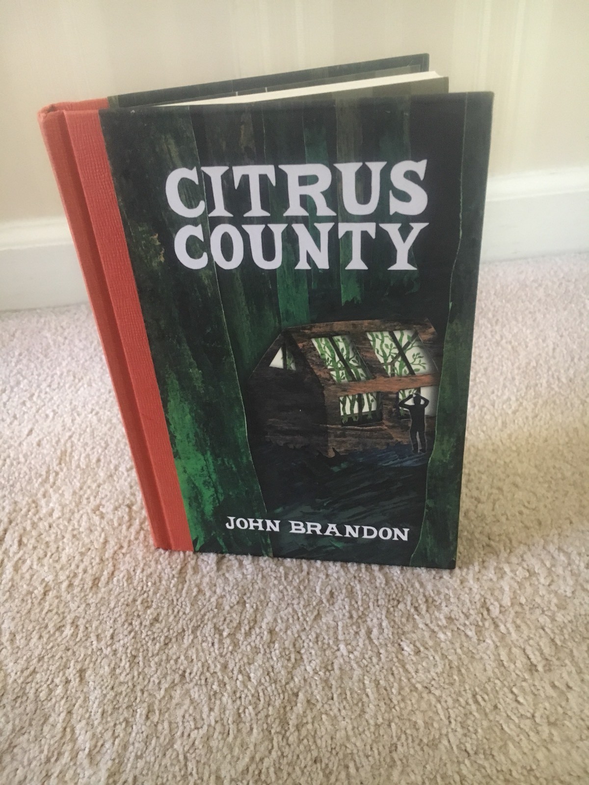 JOHN BRANDON, CITRUS COUNTY, 1st/2nd, NF, Signed eBay
