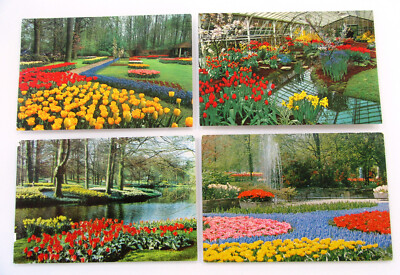 Niederlande Postkarten Lot 4 x Postcard KEUKENHOF Lisse Holland Postcard Flowers