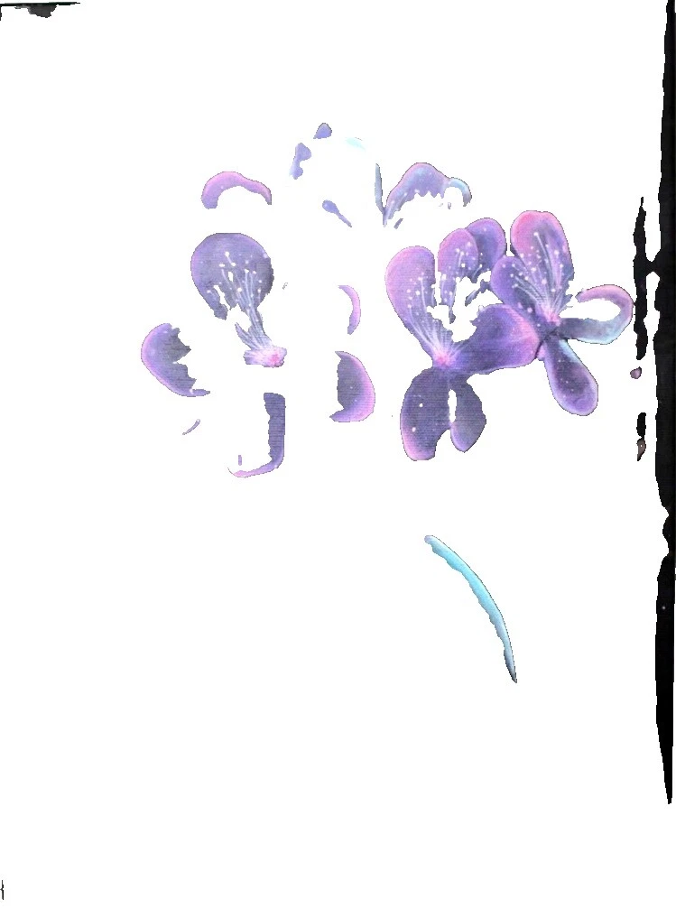 Canvas Floral Art Abstract Paintings