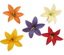 Five 3.5" Multi Lily Silk Flower Hair Clips Lot