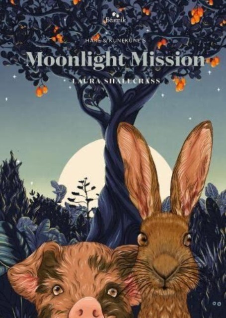 Moonlight Mission by Laura Shallcrass (Hardback Book)