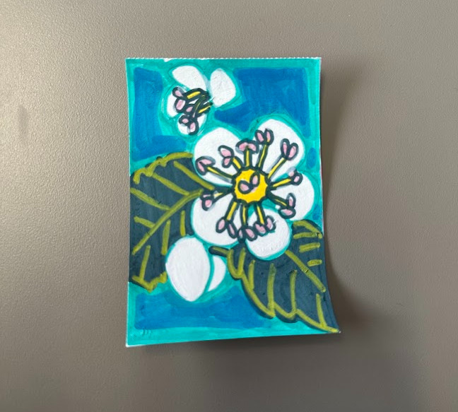 ACEO original art card Missouri State Flower White Hawthorn Blossom (25/50)