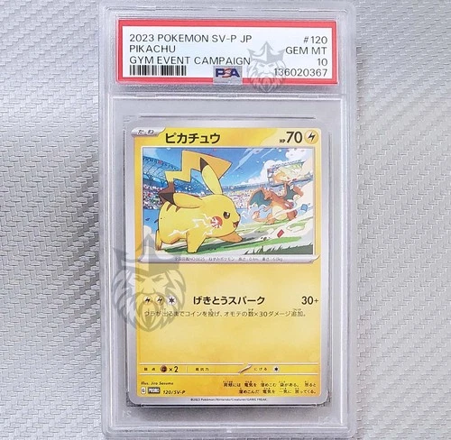 Pikachu (Charizard) PSA 10 📈 2023 Pokemon Gym Event Campaign Promo JP 120/SV-P