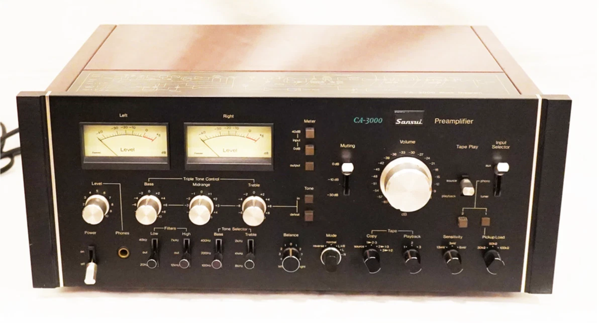 Купить Усилитель Сансуй В России