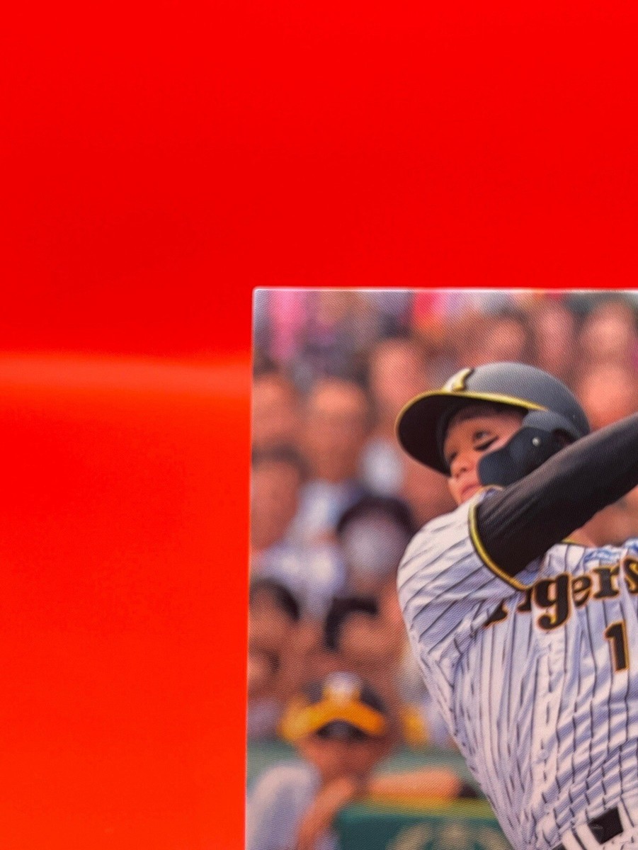 Hanshin Tigers 1 Shota Morishita 2024 Baseball Card Japanese TCG