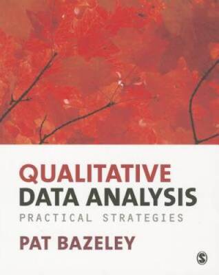 Qualitative Data Analysis: Practical Strategies - Paperback - GOOD